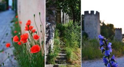 visby_kollaaC5BE.jpg